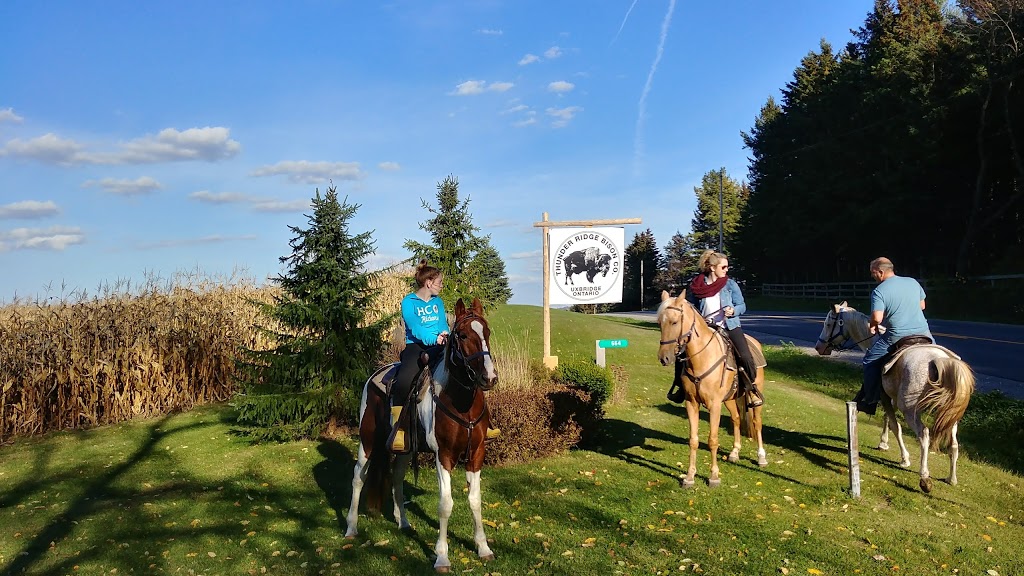 Thunder Ridge Bison Company | 664 Davis Dr, Uxbridge, ON L9P 1R2, Canada | Phone: (905) 391-8666