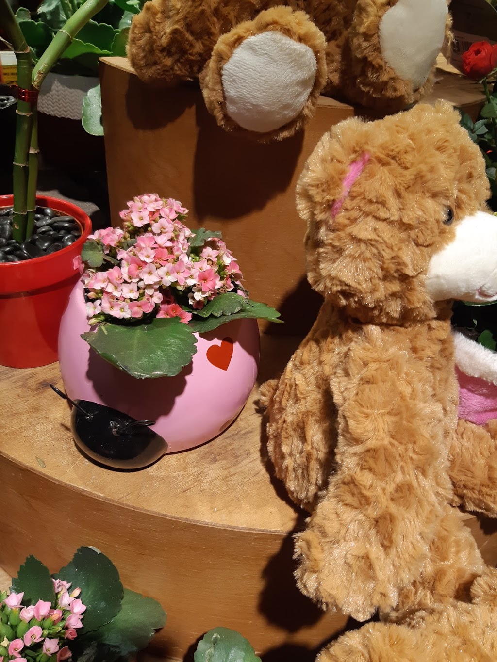 Safeway Millbourne Mall | 100 38 Ave NW, Edmonton, AB T6K 3L6, Canada | Phone: (780) 462-4424