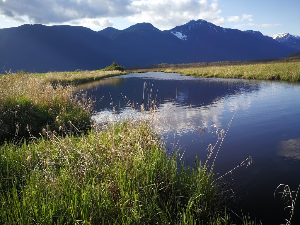 Pitt-Addington Marsh | Pitt Meadows, BC V3Y 1Z1, Canada