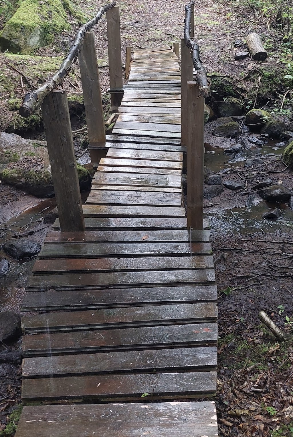 Rocky Ridge Apple Orchard & Hiking Trails | 81 Rocky Ridge Rd, Barrys Bay, ON K0J 1B0, Canada | Phone: (613) 756-0087