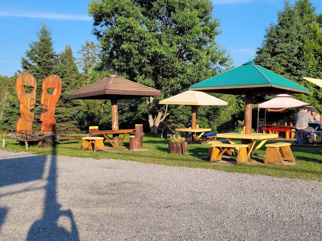 Casse-Croûte La Saucisse | 1221 Bd des Ruisseaux, Mont-Laurier, QC J9E 3B1, Canada | Phone: (819) 499-1662