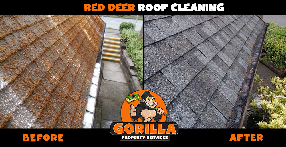 Gorilla Property Services | 6740 Johnstone Dr #40, Red Deer, AB T4P 3Y2, Canada | Phone: (587) 802-2202