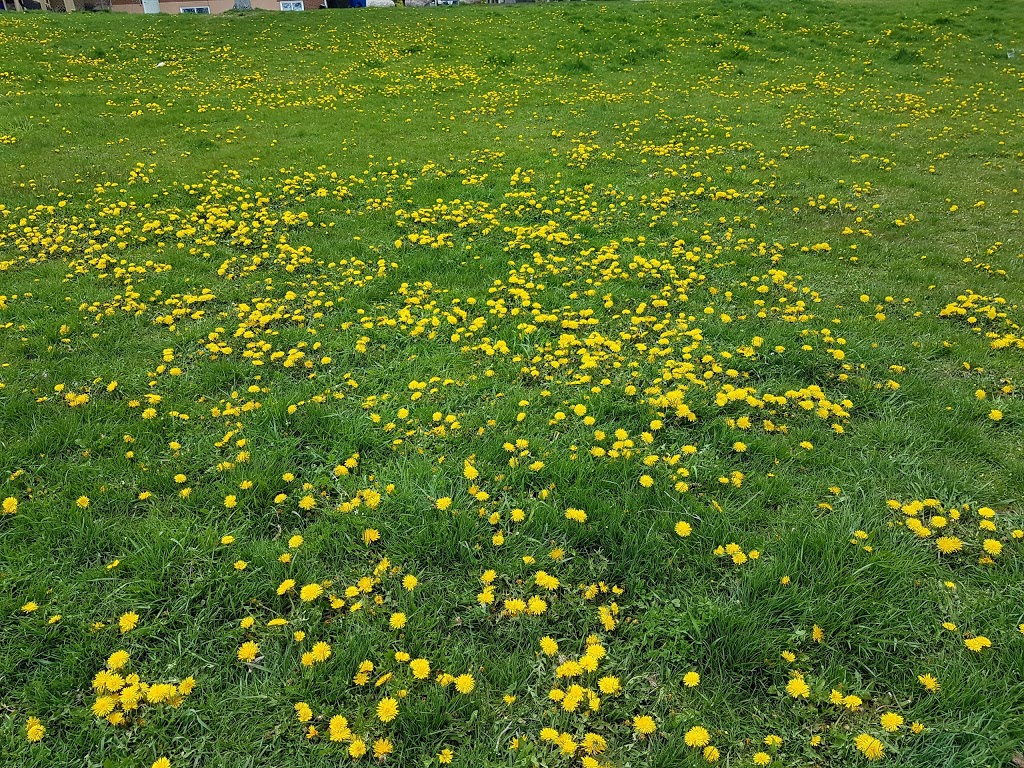 Mimico Waterfront Park | Toronto, ON M8V 1S3, Canada | Phone: (416) 203-2500