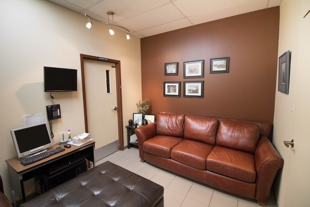 Animal Hospital of Manitoba | 995 Main St, Winnipeg, MB R2W 3P8, Canada | Phone: (204) 586-3334