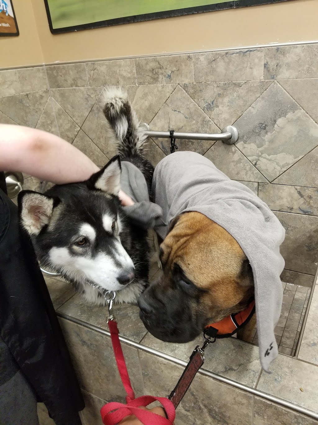 Pet Valu | 1250 Main Street North, Stittsville, ON K2S 1S9, Canada | Phone: (613) 836-6663