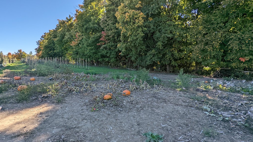 Downeys Apple Farm | 1355 Hopewell Creek Rd, Maryhill, ON N0B 2B0, Canada | Phone: (519) 590-4777