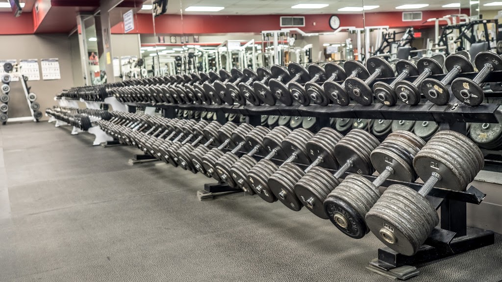 Xtreme Fitness | 9560 Boul Gouin O, Pierrefonds, QC H8Y 1R3, Canada | Phone: (514) 421-9790