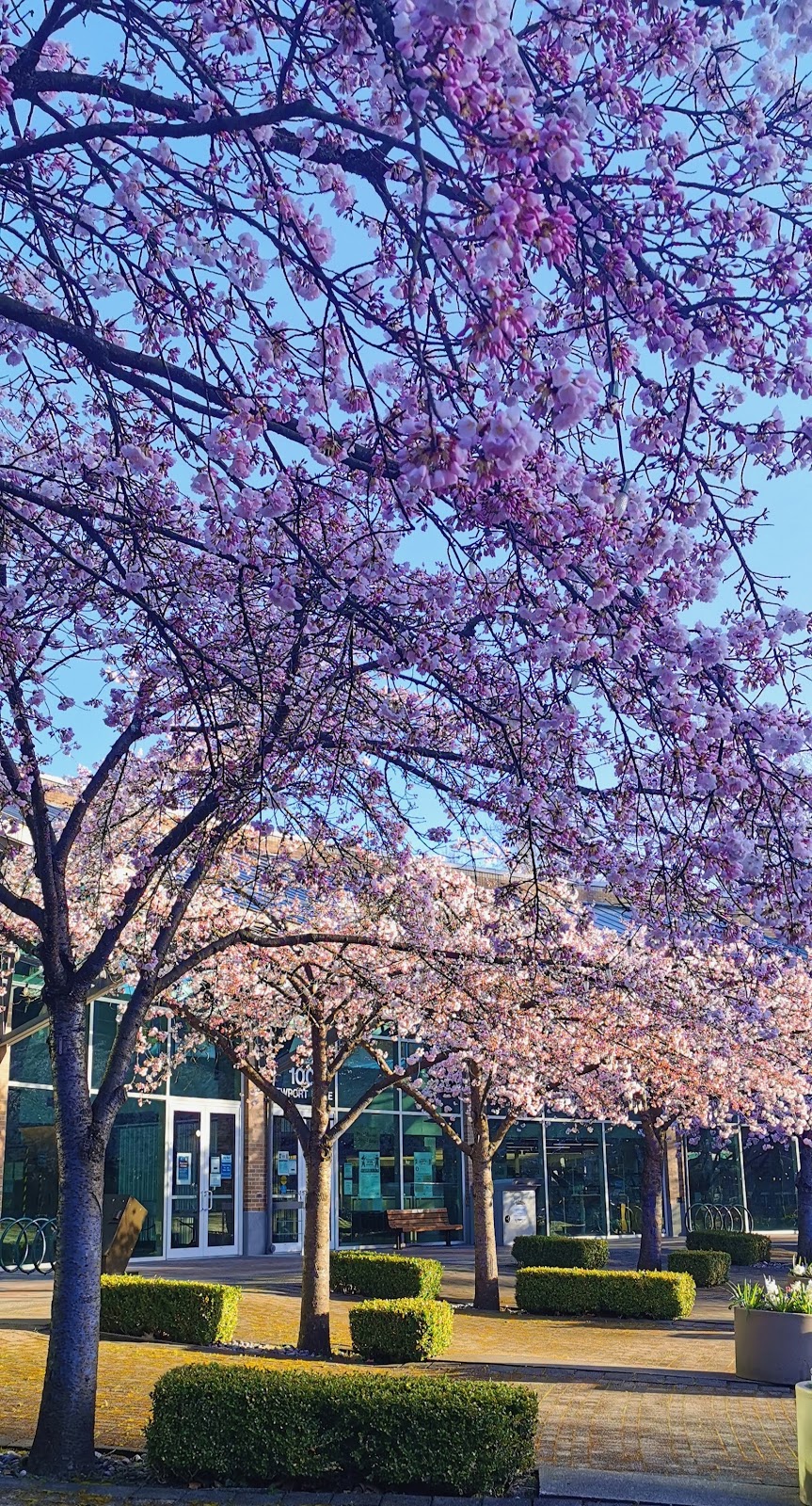 Port Moody City Hall | 100 Newport Dr, Port Moody, BC V3H 5C3, Canada | Phone: (604) 469-4500