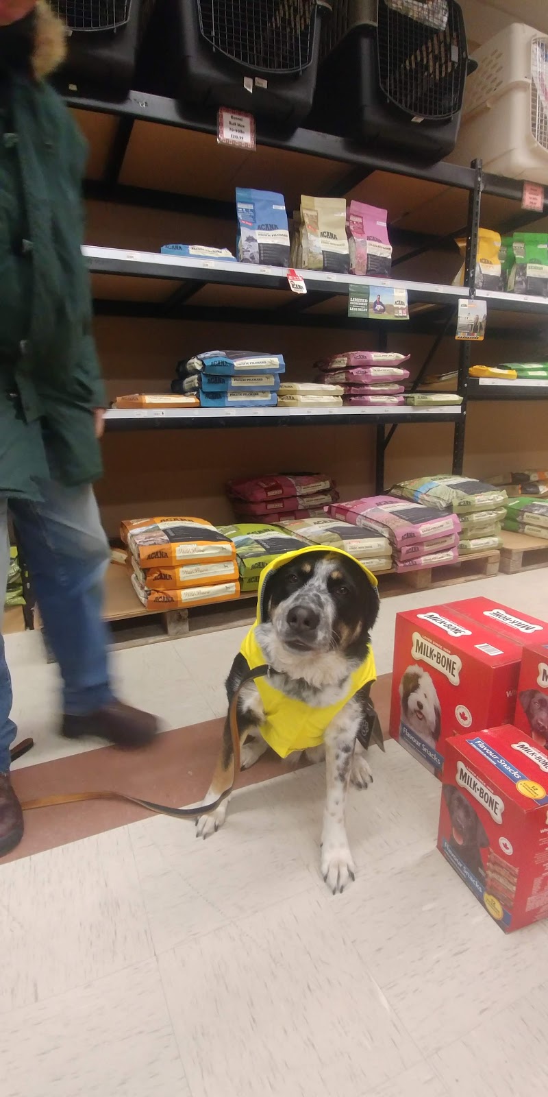 Mill Store | 46255 Chilliwack Central Rd, Chilliwack, BC V2P 1J7, Canada | Phone: (604) 792-0678