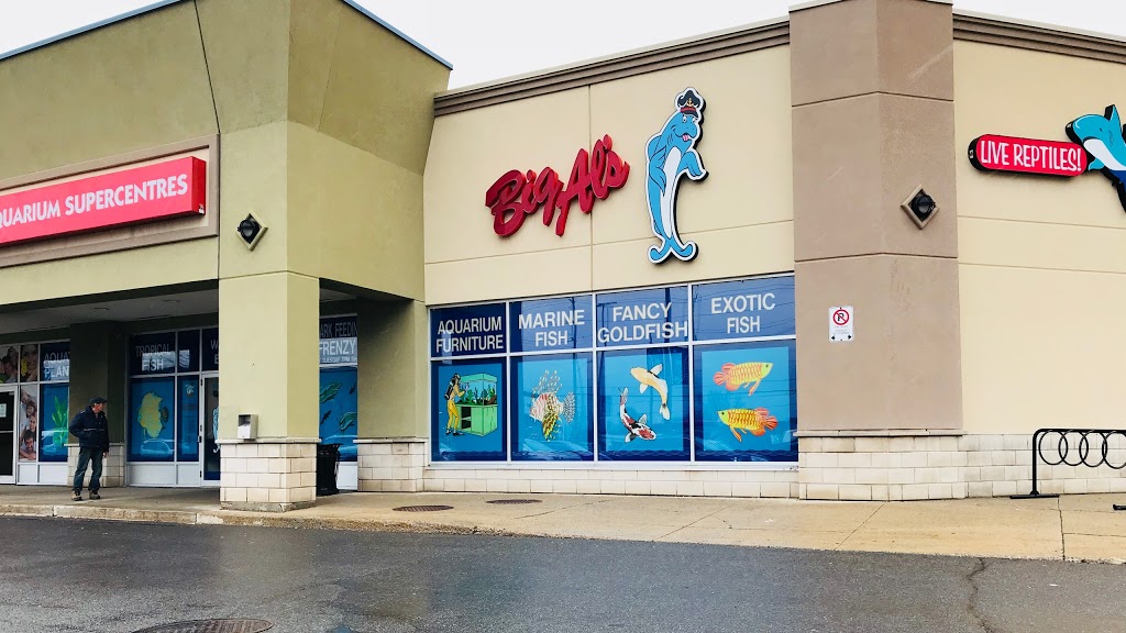 Big Als Aquarium Supercentres - Ottawa | 1900 Innes Rd, Gloucester, ON K1B 3K5, Canada | Phone: (613) 244-3474