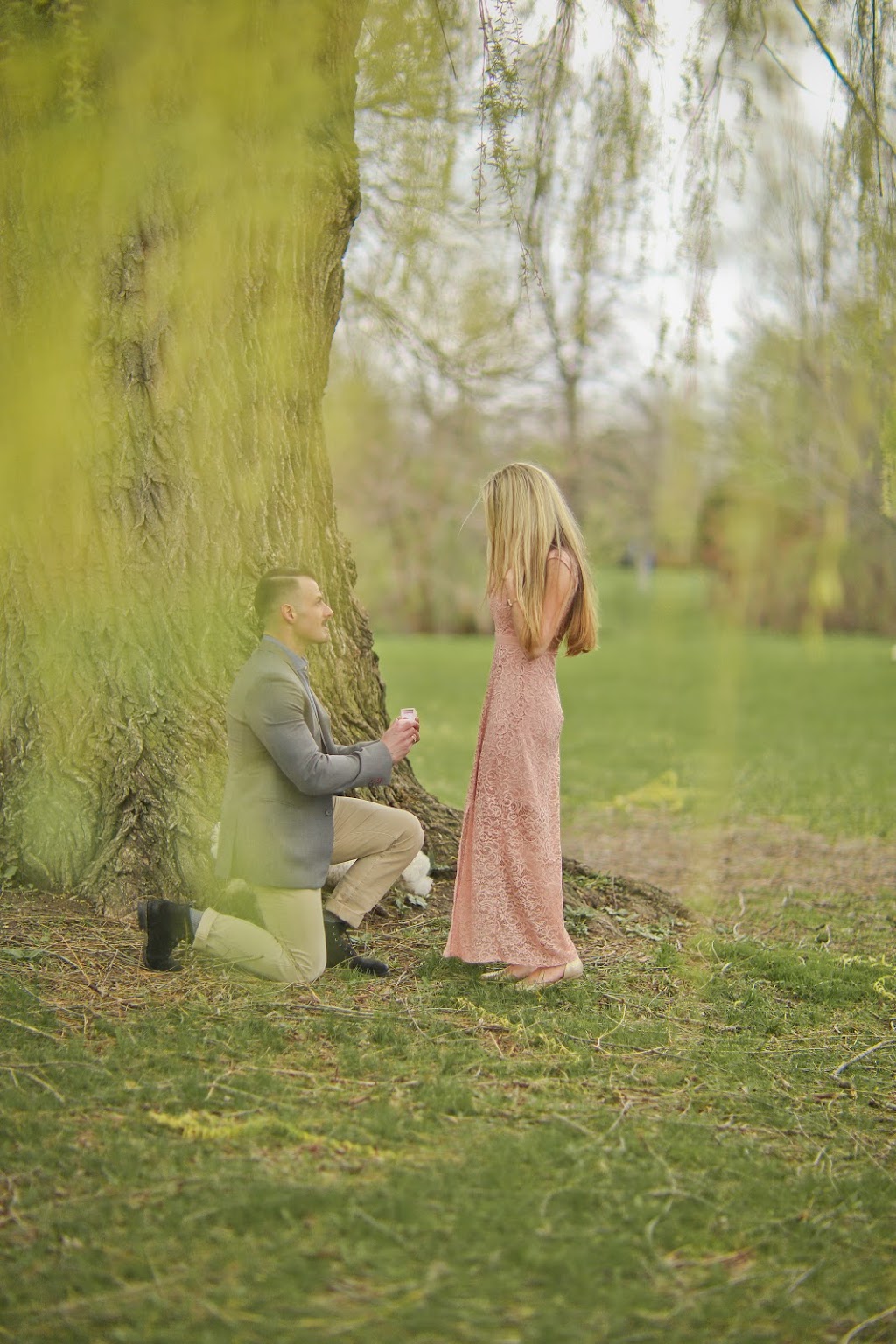 Everlast Photography | 45 Bristol Rd E Unit 23, Mississauga, ON L4Z 3P5, Canada | Phone: (416) 897-5526