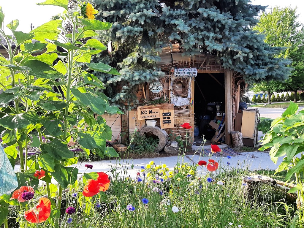 The Enchanted Tree House | 40-2 Shoreview Dr, Scarborough, ON M1E 3R3, Canada | Phone: (647) 782-9667
