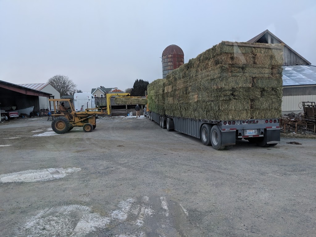 Eldred Brothers Farms LLC | 317 W Laurel Rd, Bellingham, WA 98226, USA | Phone: (360) 398-9757