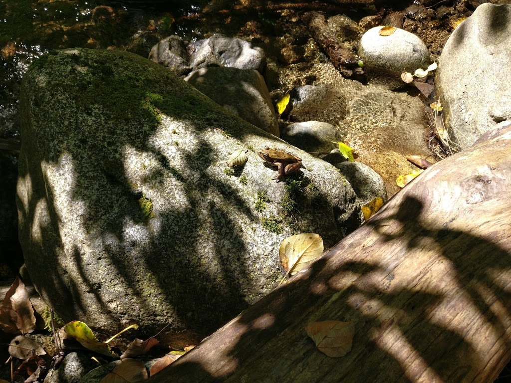 Crystal Falls - Trailhead | 3240 Karley Crescent, Coquitlam, BC V3E 3E9, Canada