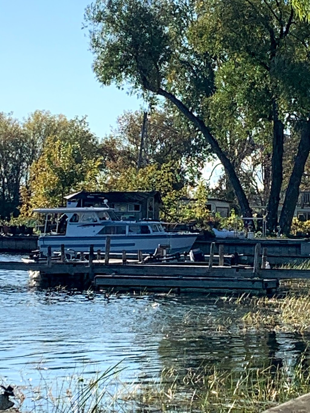 Wellers Bay Campground | 65 Carter Rd, Carrying Place, ON K0K 1L0, Canada | Phone: (613) 475-3113