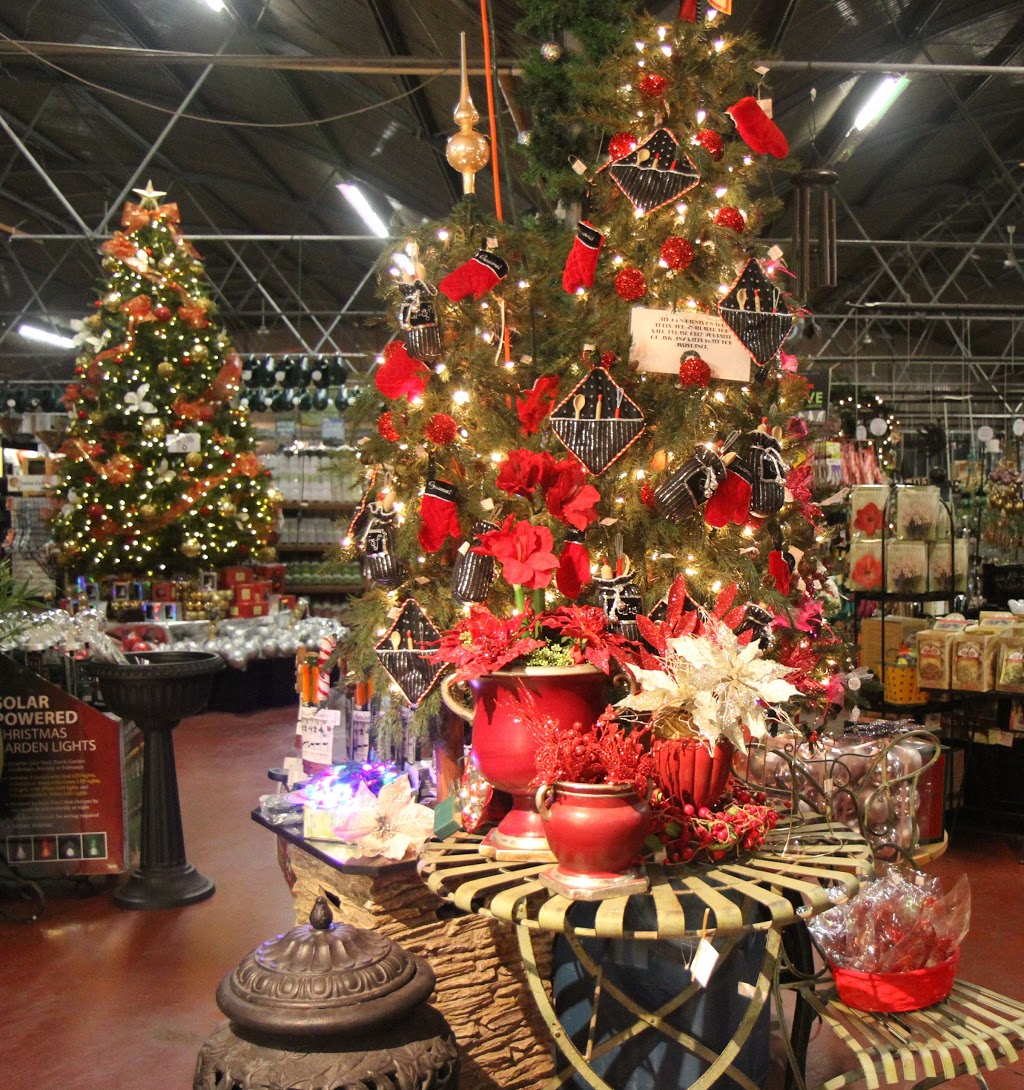 Homestead Nurseryland & Florist | 31888 Marshall Rd, Abbotsford, BC V2T 5Z9, Canada | Phone: (604) 854-6601