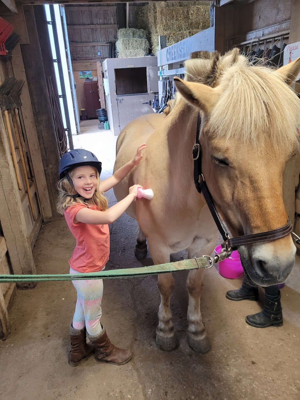 Creekside Equestrian Centre | 2370 Ohio East Rd, Antigonish, NS B2G 2K8, Canada | Phone: (902) 870-6456