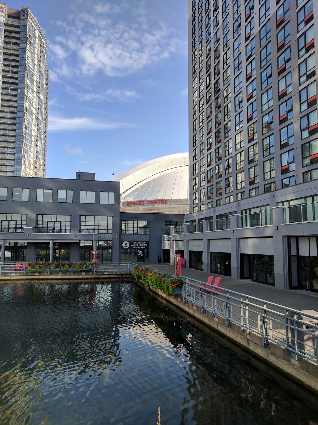 Harbourfront Animal Hospital | 370 Queens Quay W, Toronto, ON M5V 3J3, Canada | Phone: (416) 597-9494