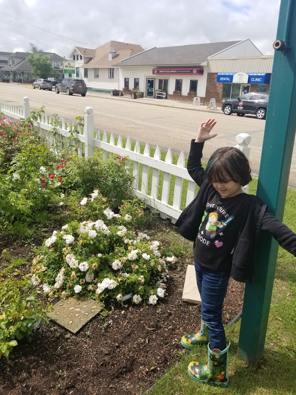 The Millet Memorable Rose Garden | 5020 50 St, Millet, AB T0C 1Z0, Canada | Phone: (780) 387-4554