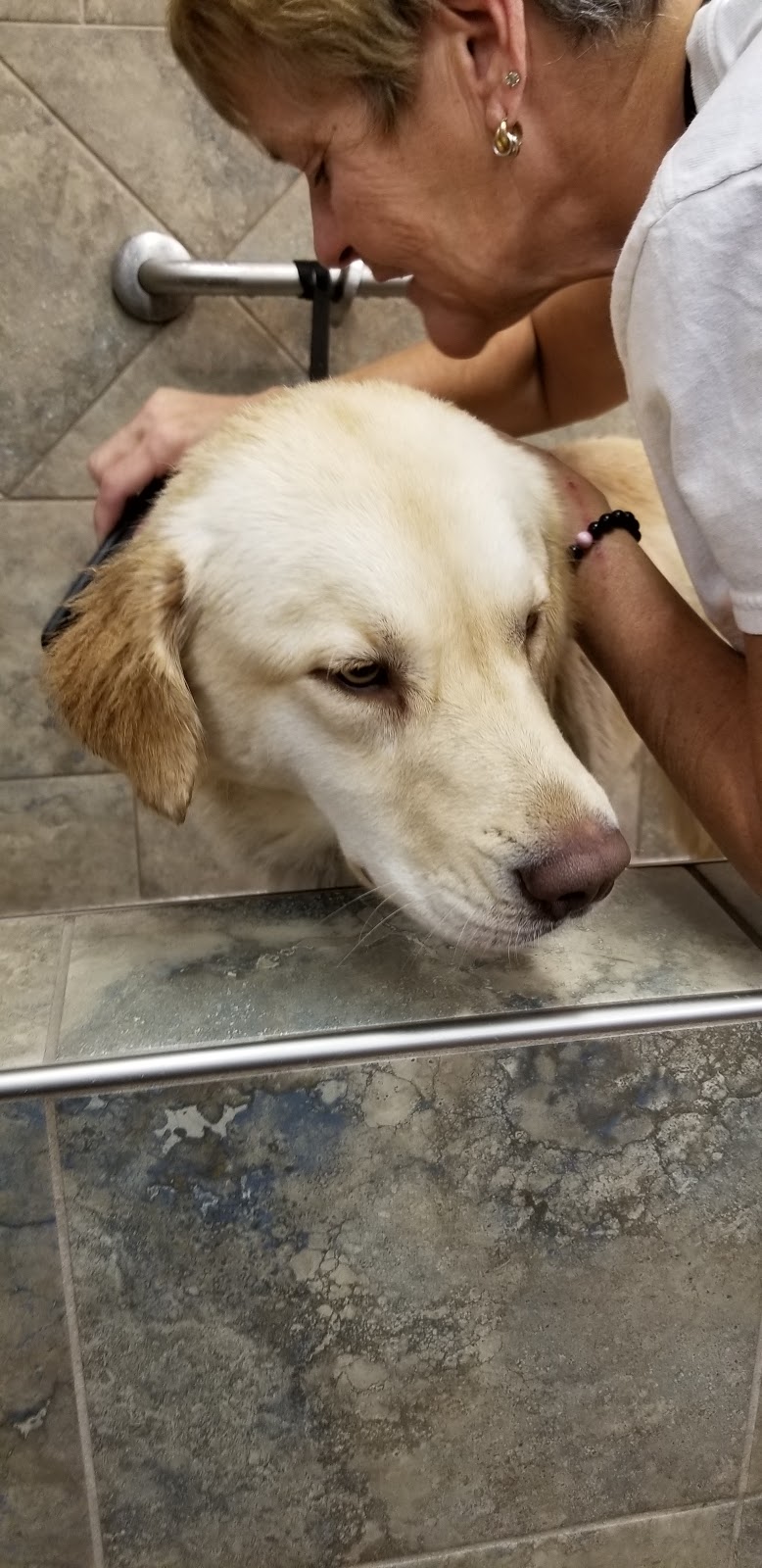 Pet Valu | 3 Reenders Dr, Winnipeg, MB R2C 5K5, Canada | Phone: (204) 654-9955