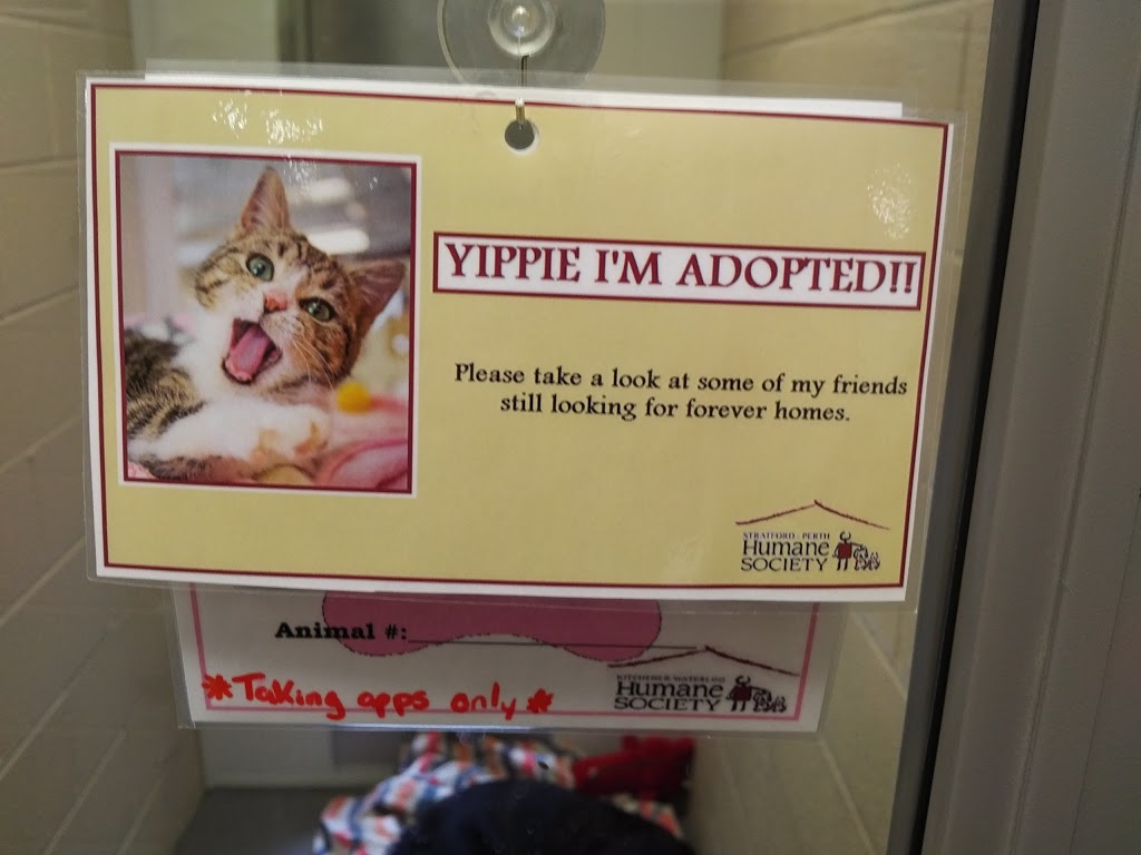 Stratford-Perth Humane Society | 125 Griffith Rd, Stratford, ON N5A 6S4, Canada | Phone: (519) 273-6600