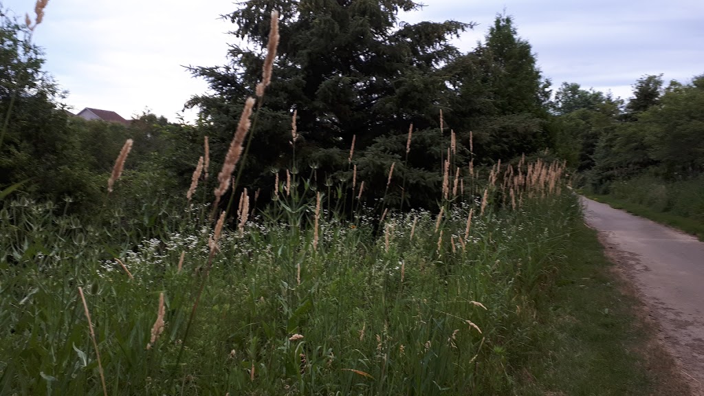Yarmouth Retention Pond | 618 Yarmouth Dr, Waterloo, ON N2K 4C1, Canada | Phone: (519) 886-1550