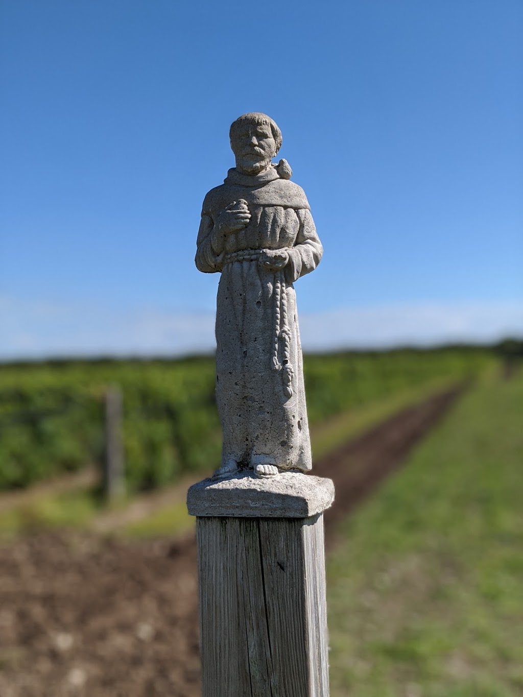 Morandin Wines | 18055 Loyalist Pkwy, Wellington, ON K0K 3L0, Canada | Phone: (416) 948-0746