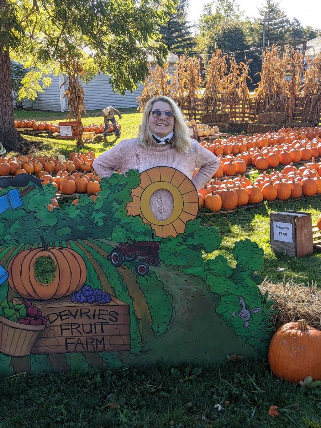 DeVries Fruit Farm | 825 Canboro Rd, Fenwick, ON L0S 1C0, Canada | Phone: (905) 892-8724