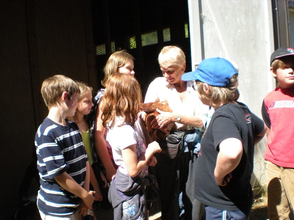 Healing Farm | 5971 Old East Rd, Victoria, BC V8Y 1V7, Canada | Phone: (250) 652-6456