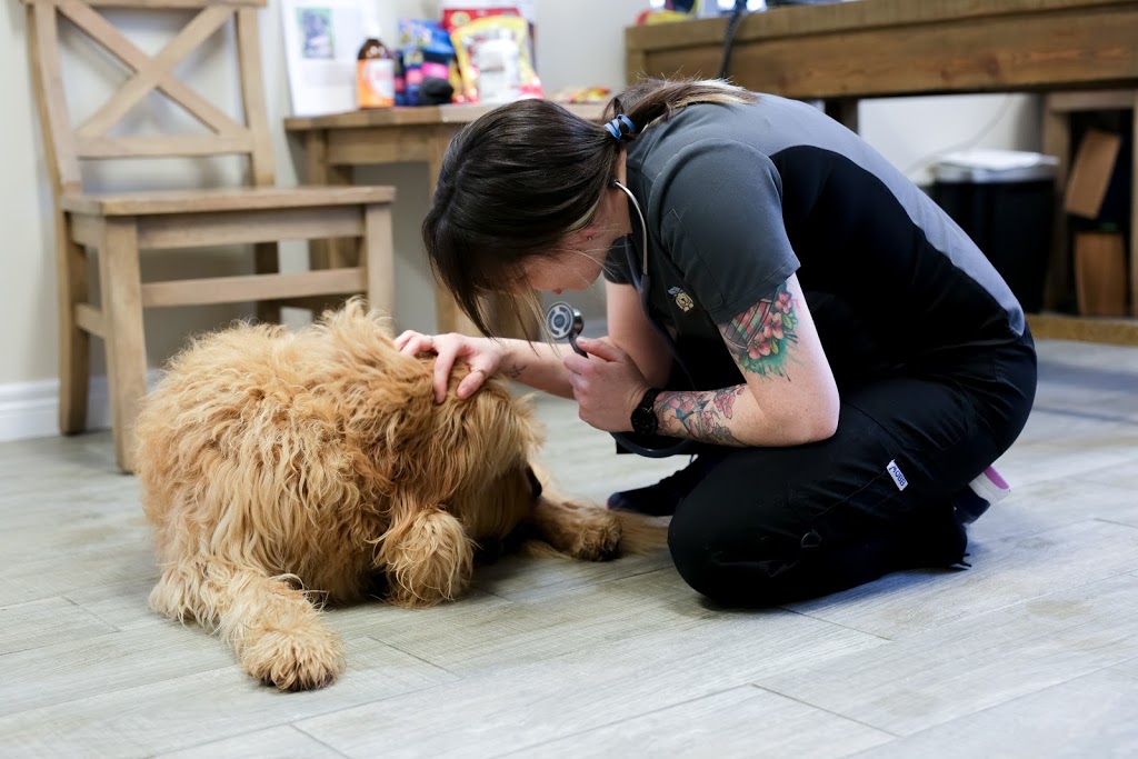 Draper Veterinary Services Centre Inc | 1144 Bedford Hwy, Bedford, NS B4A 1B8, Canada | Phone: (902) 835-6349