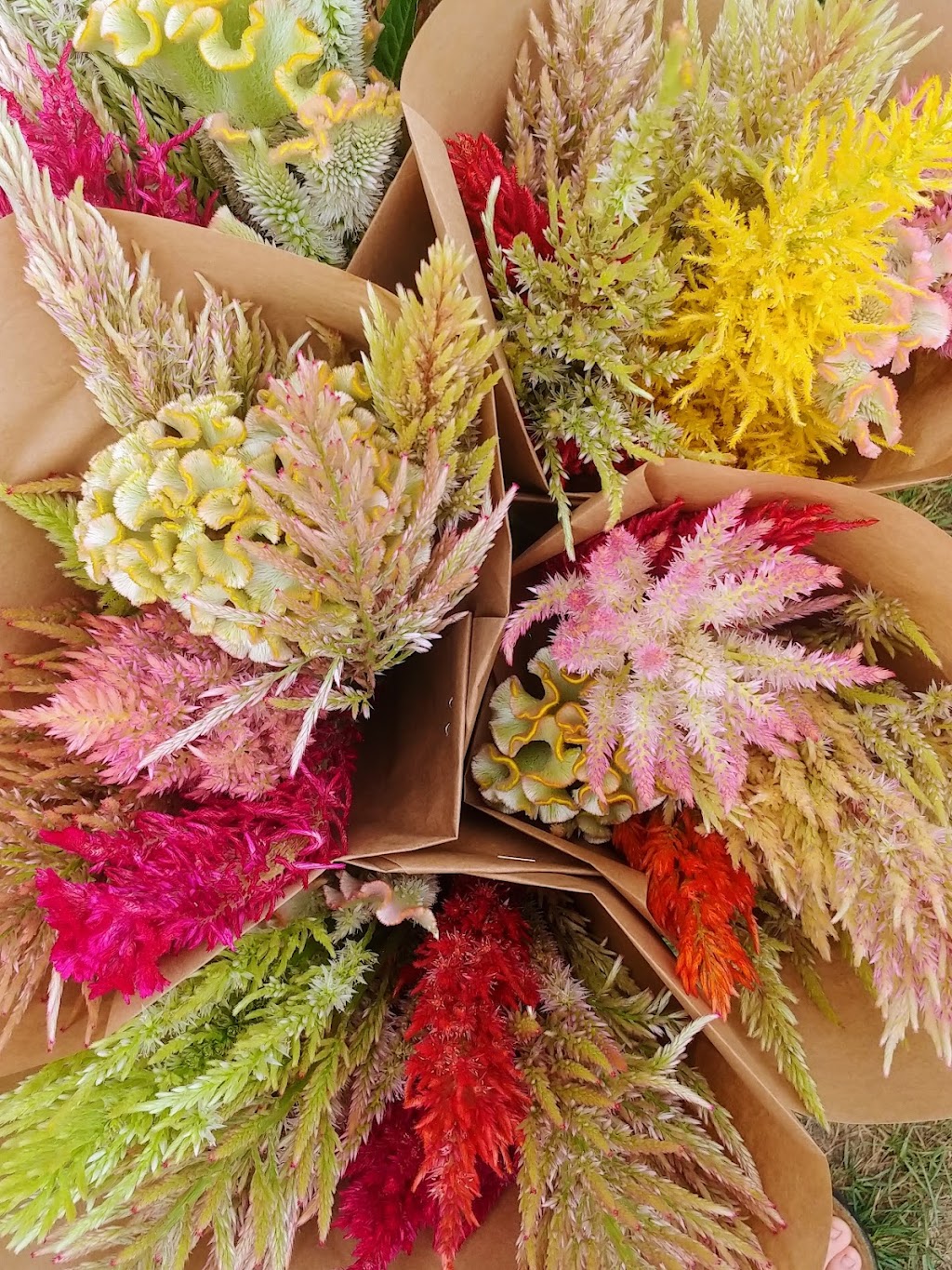 Jardins des Caps | 336 Rang St Elzéar, Saint-Tite-des-Caps, QC G0A 4J0, Canada | Phone: (418) 823-0089