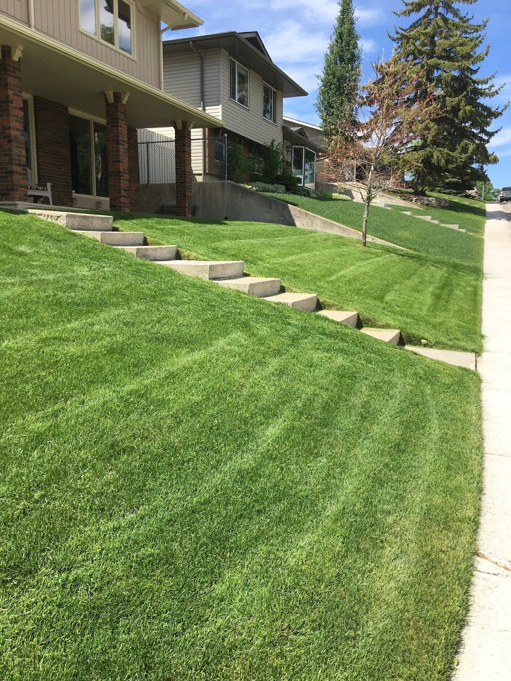 Lawn ‘N’ Order | point of interest | 7703 68 Ave NW, Calgary, AB T3B 4P4, Canada | 4038522988 OR +1 403-852-2988