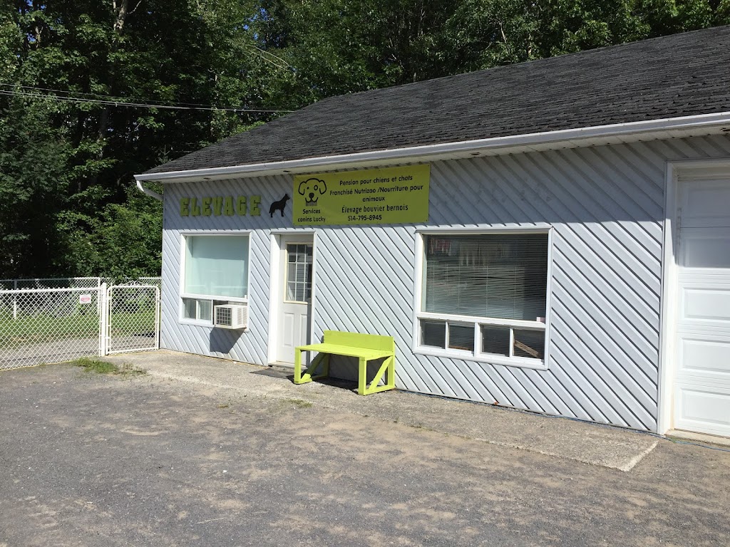 Service Canins Lucky | 3830 Chem. Du Bon Air, Sainte-Julienne, QC J0K 2T0, Canada | Phone: (514) 795-8945