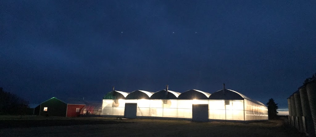 Maple Park Farm | 18311, Township Rd 502, Tofield, AB T0B 4J0, Canada | Phone: (780) 662-3820