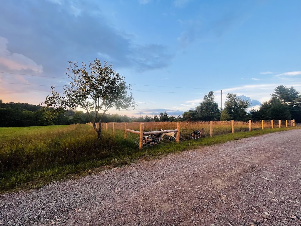 County Line Solutions Inc. | 1481 Northumberland County Rd 23, Grafton, ON K0K 2G0, Canada | Phone: (905) 809-1114