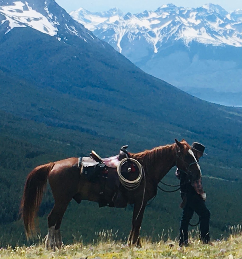 Flying L Ranch, Michael Lares | Nemaiah Valley Rd, Nemaiah Valley, BC V0L 1X0, Canada | Phone: (250) 302-2989