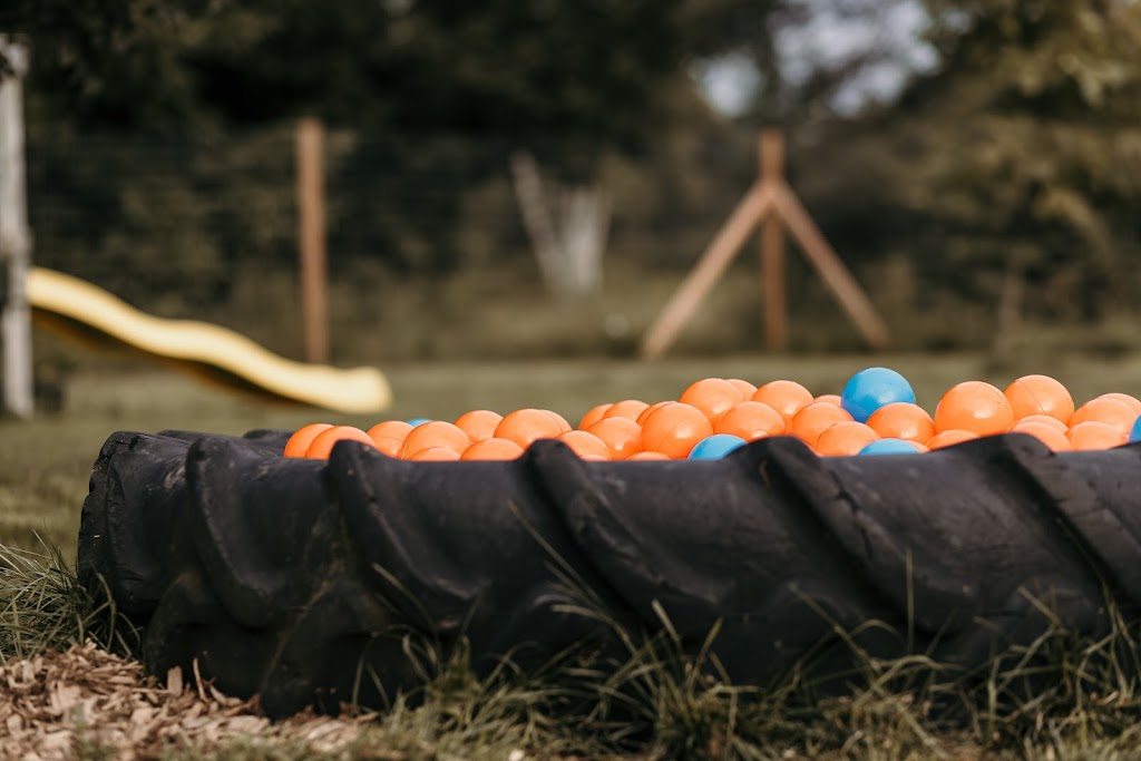 Auroraw Doggy Stay and Play Dog Boarding + Daycare | 8131 NB-126, Harcourt, NB E4T 2Z7, Canada | Phone: (519) 721-3991