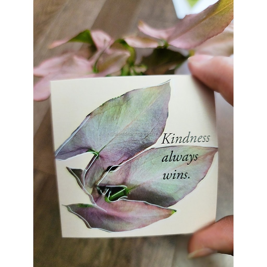 Plant Designs by Merry | 2093 Bur Oak Ave, Markham, ON L6E 0C5, Canada | Phone: (416) 648-5956