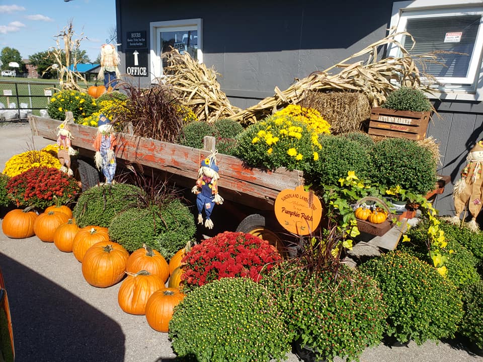 Sunderland Landscape Supplies | 53 Albert St N, Sunderland, ON L0C 1H0, Canada | Phone: (705) 357-9999