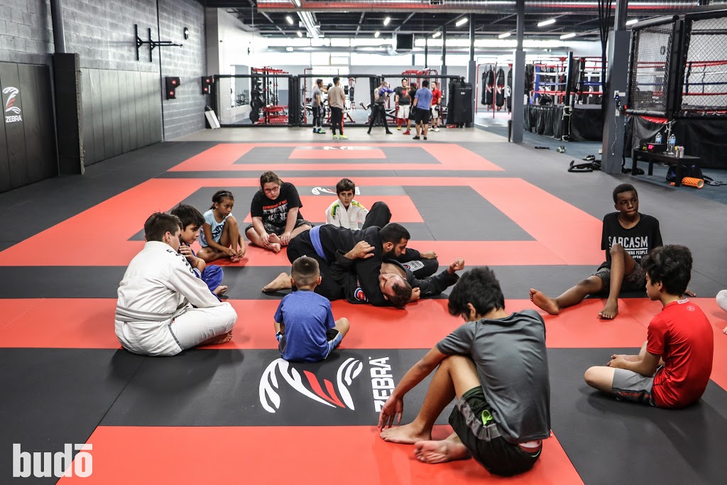 Budo Canada | 38C Apex Rd, North York, ON M6A 2V2, Canada | Phone: (416) 780-1300