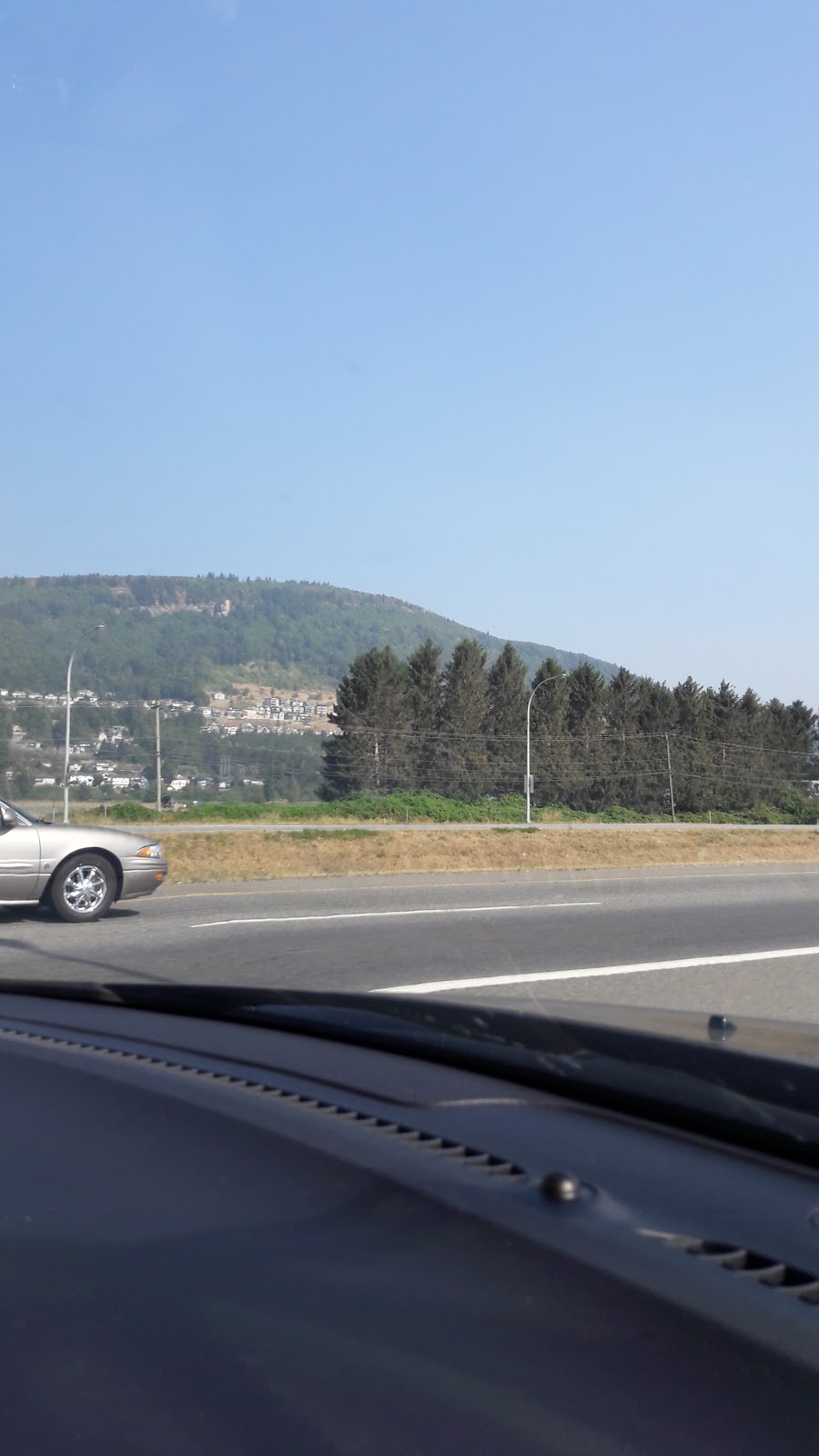 Cedarbrooks Turkey Farm Ltd | 2221 Fooks Rd, Abbotsford, BC V3G 2H5, Canada | Phone: (604) 855-1107