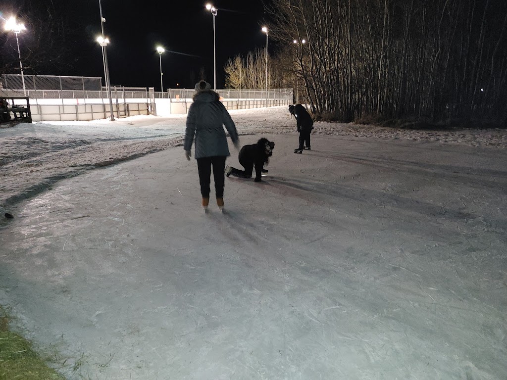 Lessard Community League | 17404 57 Ave NW, Edmonton, AB T6M 1K4, Canada | Phone: (780) 868-0755