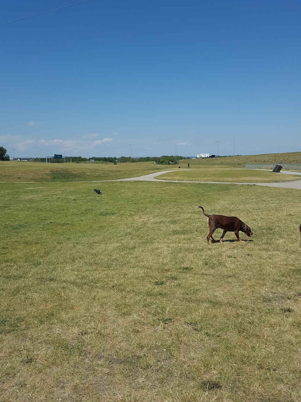 Auburn Bay Dog Park | 252 Auburn Bay Dr SE, Calgary, AB T3M, Canada | Phone: (403) 268-2489