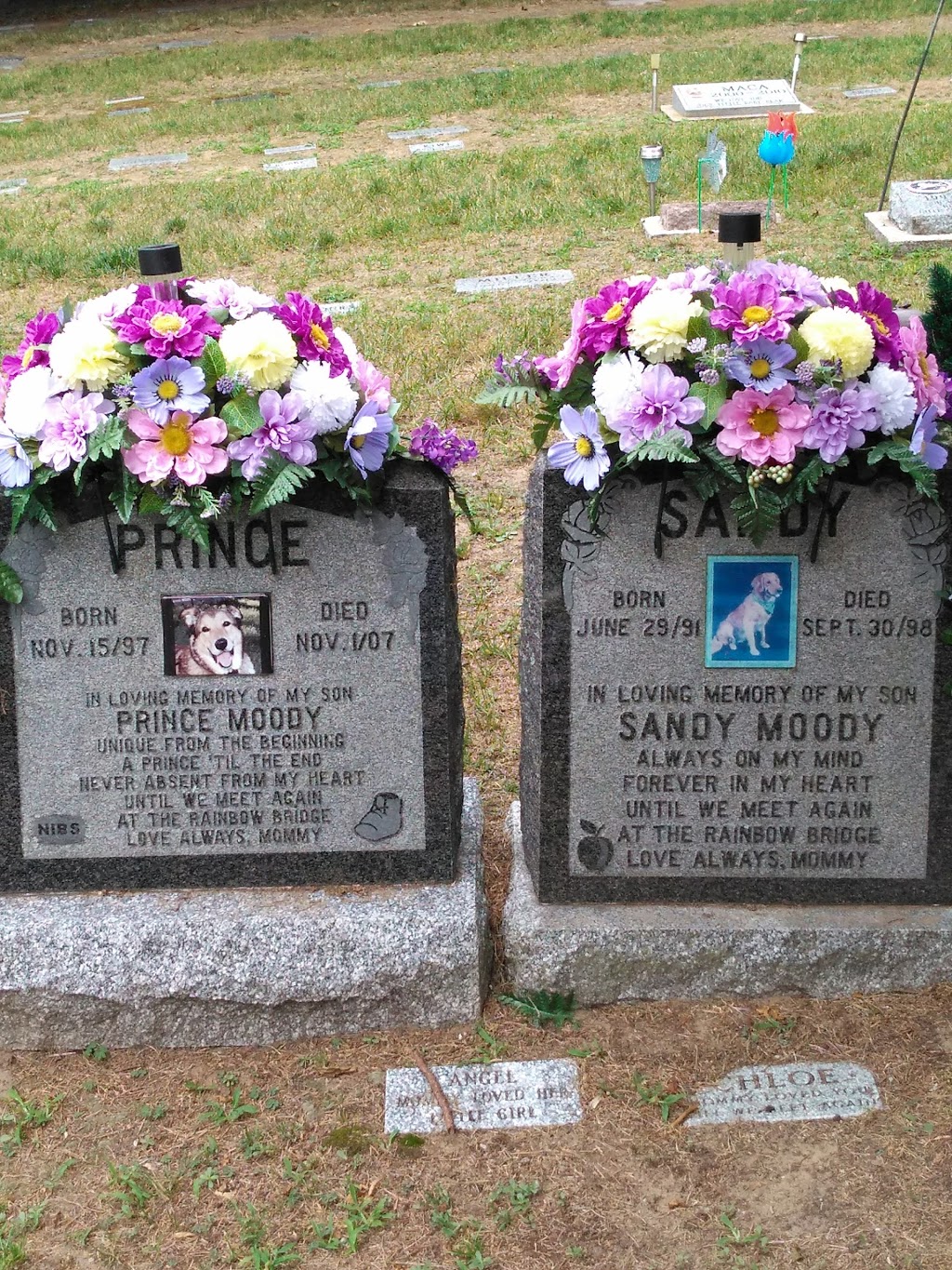 Sandy Ridge Pet Cemetery | 11210 Ridge Line, Eden, ON N0J 1H0, Canada | Phone: (800) 227-6915