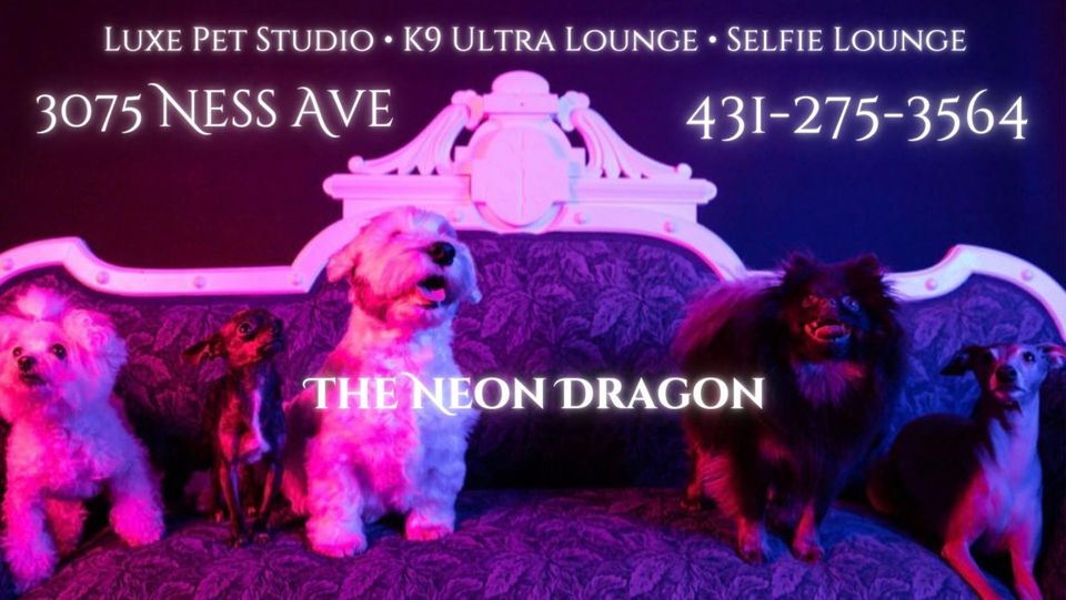 The Neon Dragon Ltd. | 3075 Ness Ave #7, Winnipeg, MB R2Y 2G3, Canada | Phone: (431) 275-3564