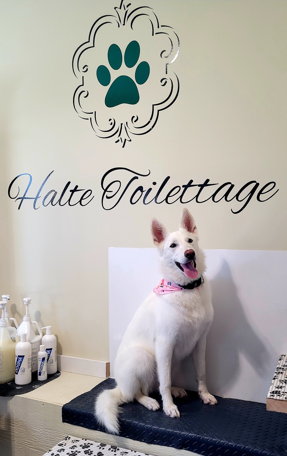 Halte Toilettage | 286 QC-133, Pike River, QC J0J 1P0, Canada | Phone: (514) 895-8538