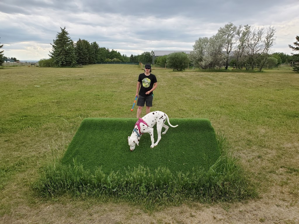 Country Club Pet Resort | 282063 Township Rd 224A, Alberta T1X 0J2, Canada | Phone: (403) 936-5685
