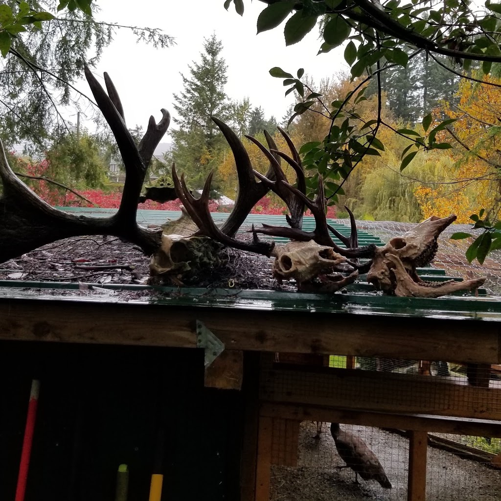 Dulchis Mortem Taxidermy and Restoration | 8180 Barnett St, Mission, BC V2V 7C7, Canada | Phone: (604) 832-8847
