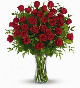 Mums Flowers | 4665 Central Pkwy E, Mississauga, ON L4Z 2V4, Canada | Phone: (905) 568-1777