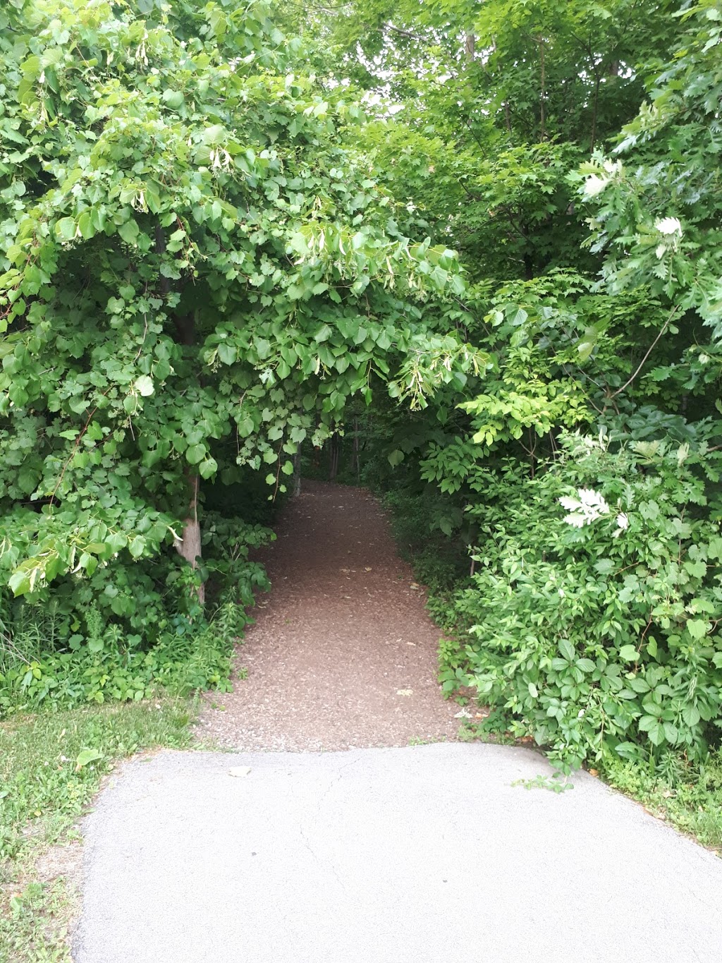 Walnut Woods Trail | 1830 Kyle Ct, London, ON N6G 0A6, Canada